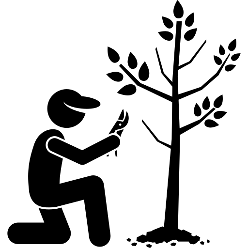 Brush Cutting